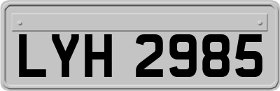 LYH2985