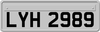 LYH2989