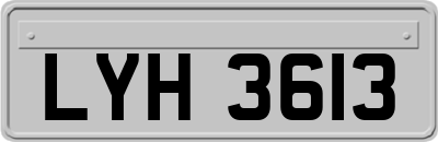 LYH3613