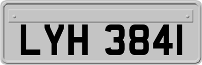 LYH3841