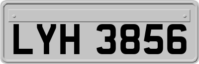 LYH3856