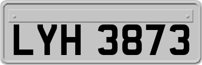 LYH3873