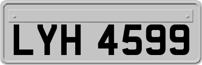 LYH4599