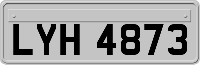 LYH4873