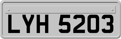 LYH5203