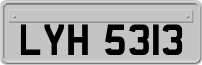 LYH5313