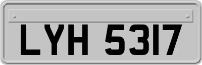 LYH5317