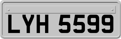 LYH5599