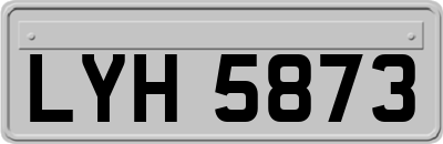 LYH5873