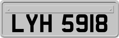 LYH5918
