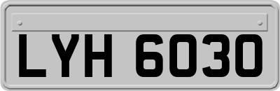 LYH6030
