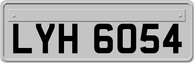 LYH6054