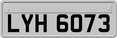 LYH6073