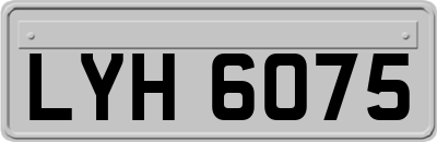 LYH6075