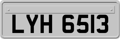 LYH6513