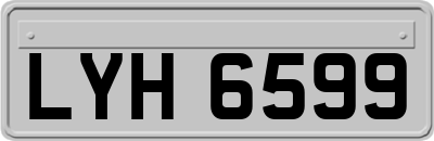 LYH6599