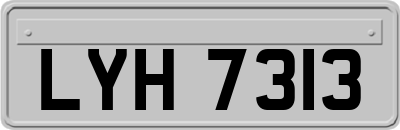 LYH7313