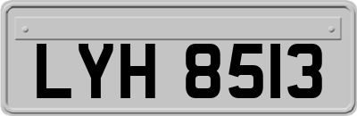 LYH8513