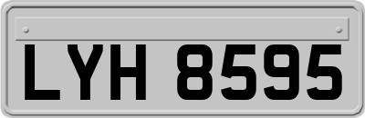 LYH8595