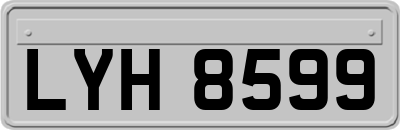 LYH8599