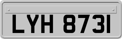 LYH8731