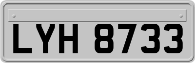 LYH8733