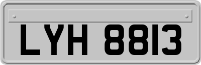 LYH8813
