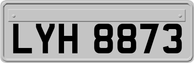 LYH8873