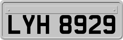 LYH8929