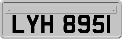 LYH8951