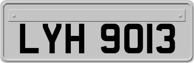 LYH9013