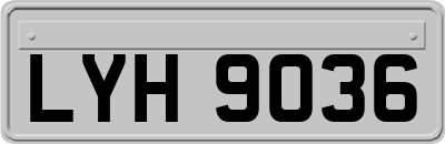 LYH9036