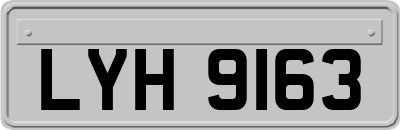 LYH9163