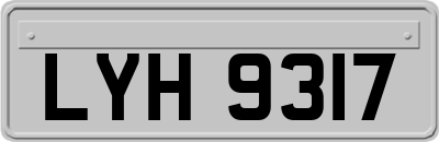 LYH9317