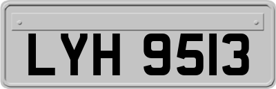 LYH9513
