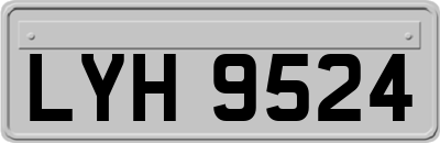 LYH9524