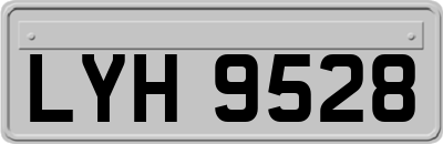 LYH9528