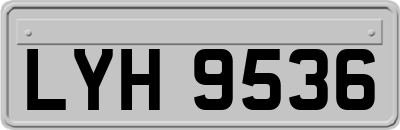 LYH9536