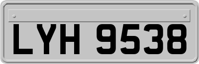 LYH9538