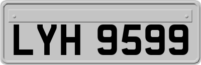 LYH9599