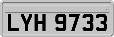 LYH9733
