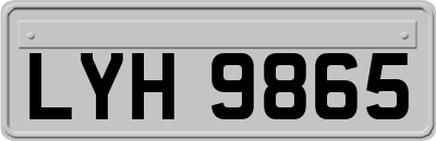 LYH9865