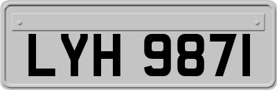 LYH9871