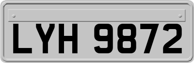 LYH9872