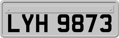 LYH9873