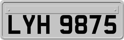 LYH9875