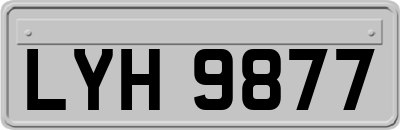 LYH9877