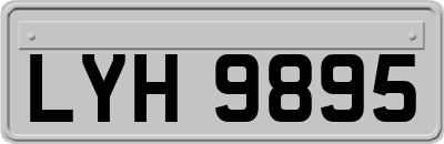 LYH9895