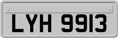LYH9913