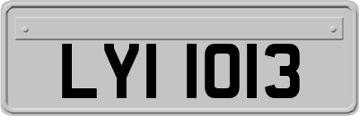 LYI1013